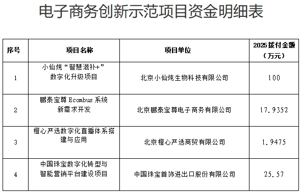 资金明细表.png