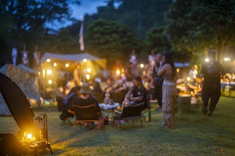 夜间活动，草坪音乐会虚图.jpg
